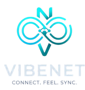 VibeNet Logo